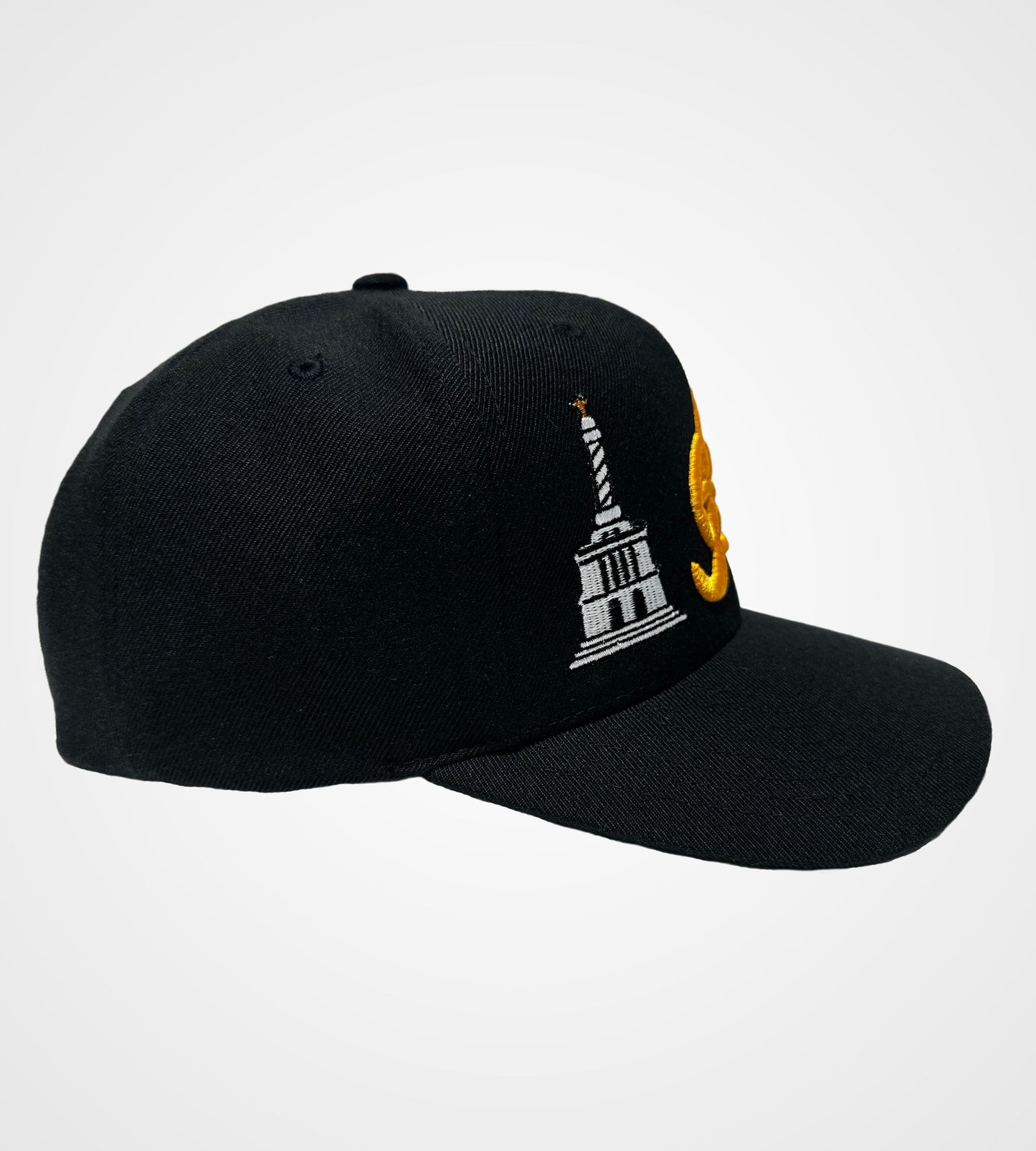 Aguilas Cibaeñas Snapback